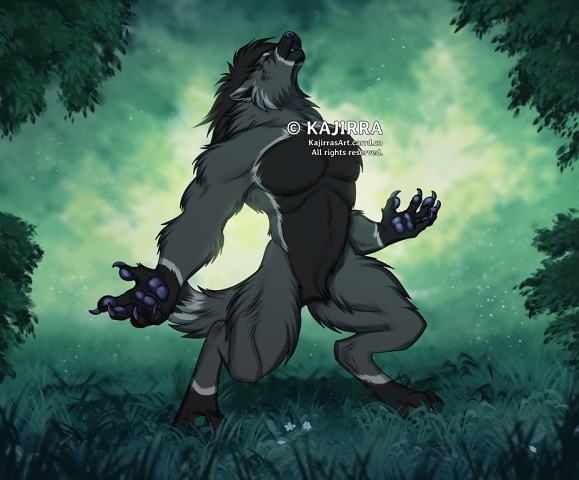 2025 06 03 Kajirra WM