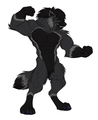 2024 11 17 Kajirra Trans